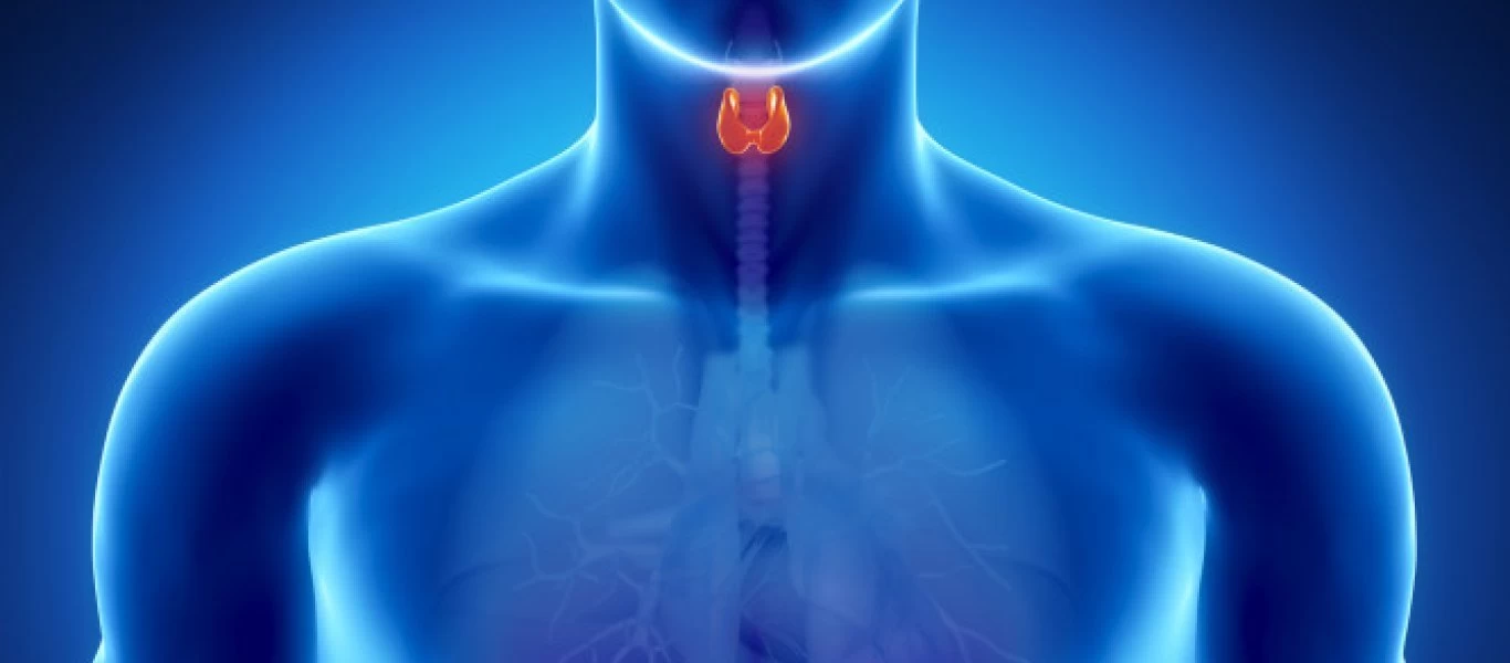 Θυρεοειδής: Προσοχή σε αυτά τα τέσσερα «ύπουλα» συμπτώματα